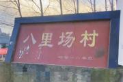 连云港一村支书4次被党纪政纪处分仍在职，镇纪委和当事人回应-中石化加油卡网上营业厅官网