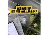 钟睒睒连发3条朋友圈炮轰电商平台：经济的“绞肉机”，中小经营户的“周扒皮”-中石化加油卡网站